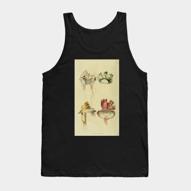 Old English Fashion - VIntage 60 Tank Top by LisaLiza